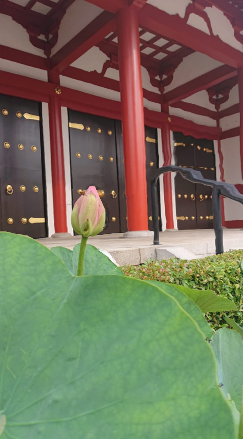 浅草寺五重塔の蓮鉢