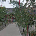 浅草神社夏越大祓