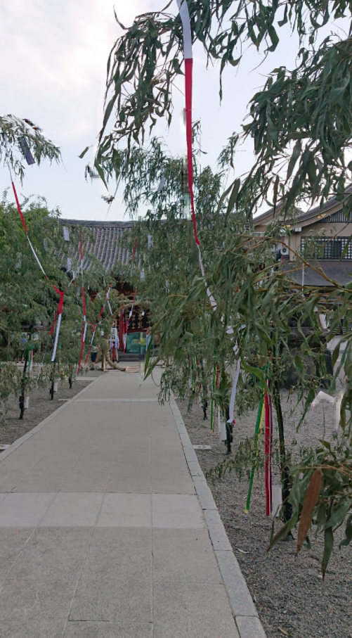 浅草神社夏越大祓