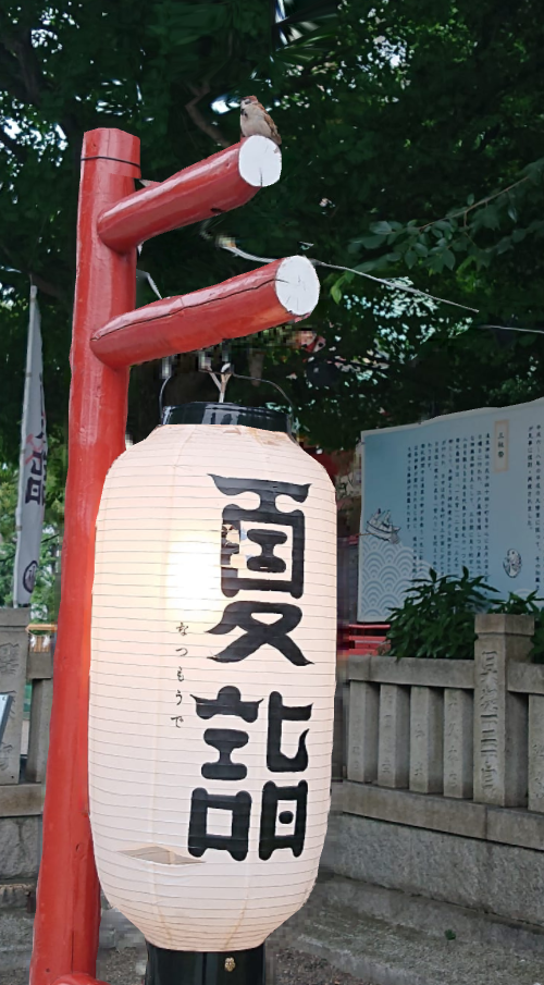 浅草神社夏越大祓