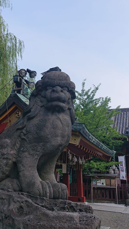 浅草神社の狛犬