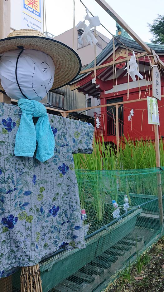 浅草神社のご神田