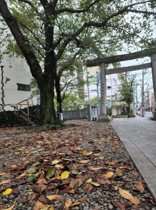 浅草富士浅間神社