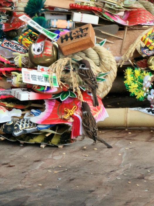 かっこめに幸え給え三の酉