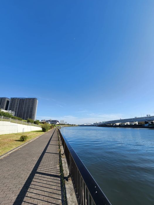 墨田公園 白髭橋付近