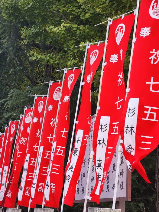 浅草神社 七五三