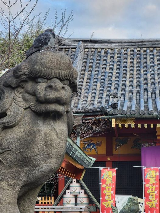 浅草神社 廿日戎