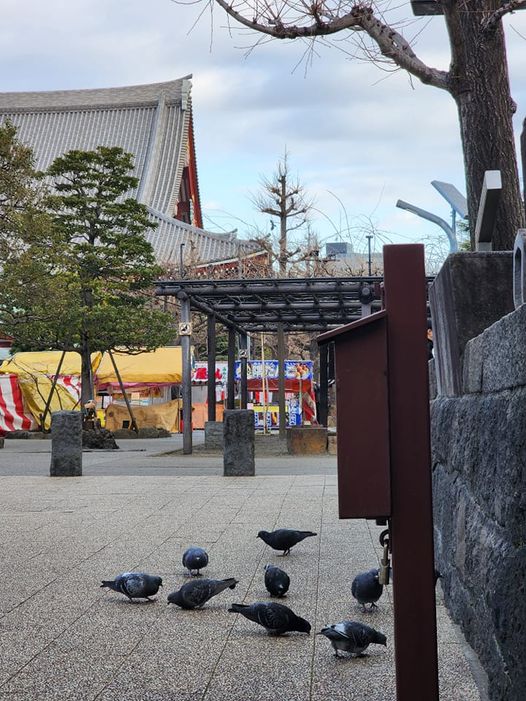 浅草寺,節分会