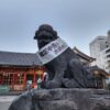 浅草神社の狛犬