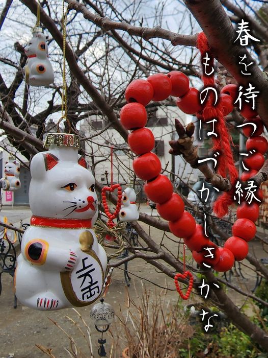 今戸神社,招き猫