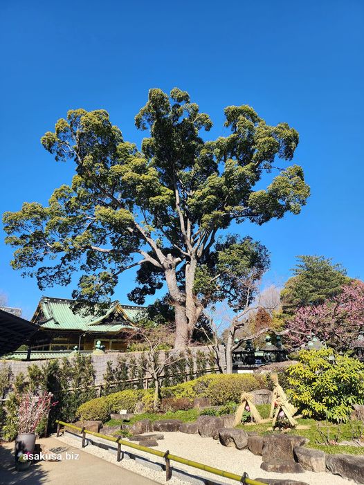 上野恩賜公園東照宮