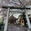 浅草富士浅間神社の「さくら詣」