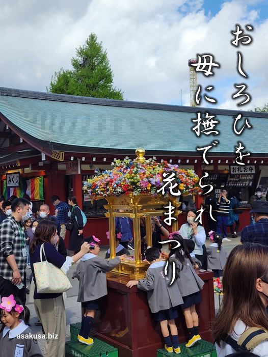 浅草寺「花まつり」