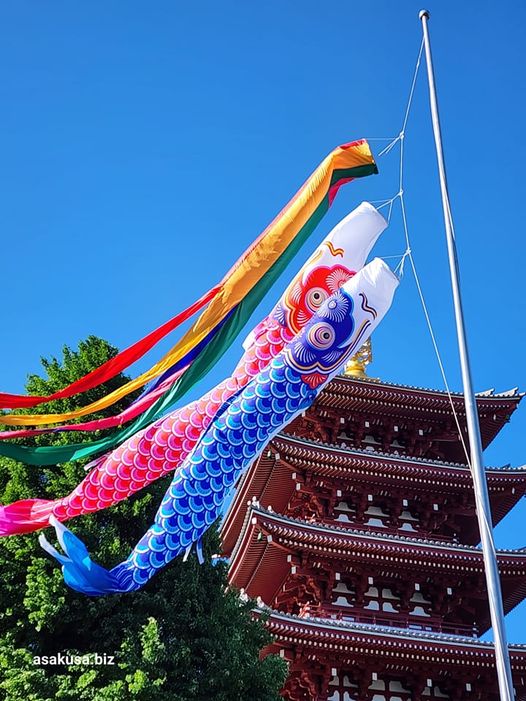 浅草寺のこいのぼり