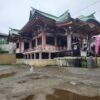 今戸神社の宮猫