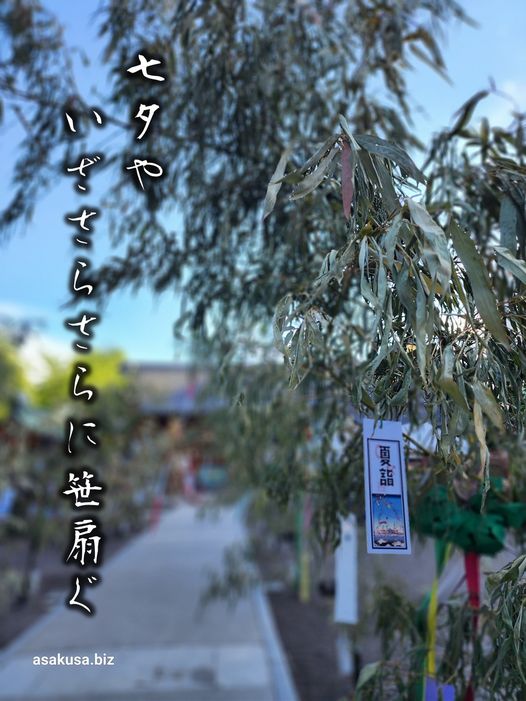 浅草神社 夏詣