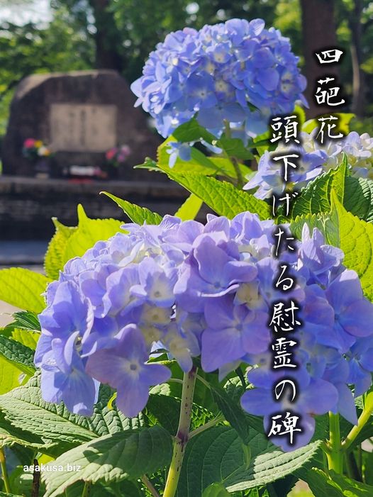 隅田公園の空襲慰霊碑