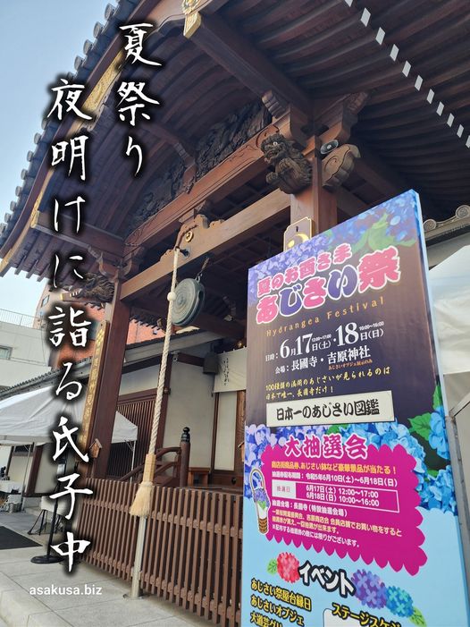 長国寺の紫陽花祭