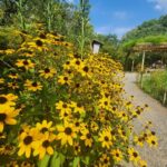 向島百花園