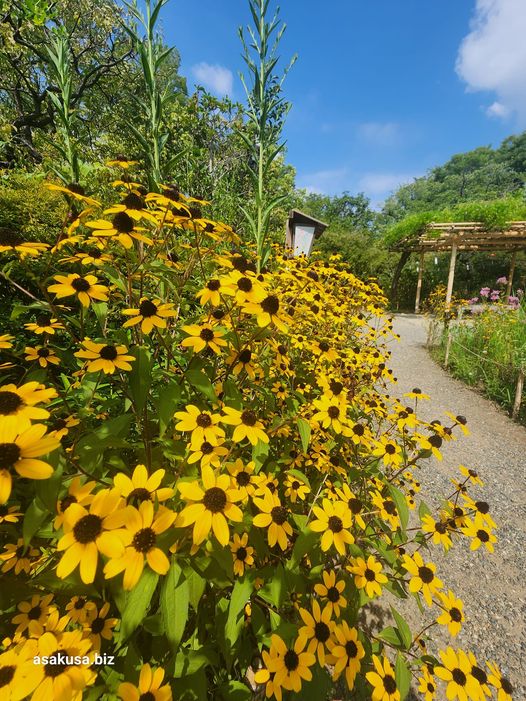 向島百花園