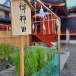 浅草神社