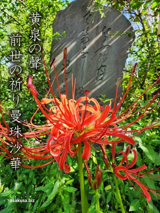 向島百花園