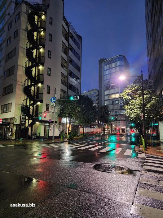 コート着る心地好さかな秋時雨