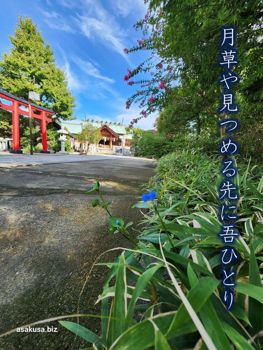 石浜神社