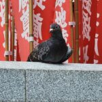 銭塚地蔵堂 金龍山 浅草寺