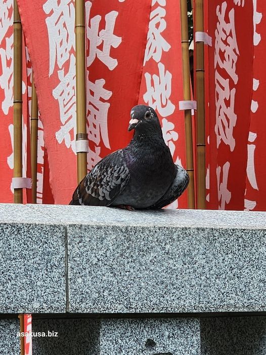 銭塚地蔵堂 金龍山 浅草寺