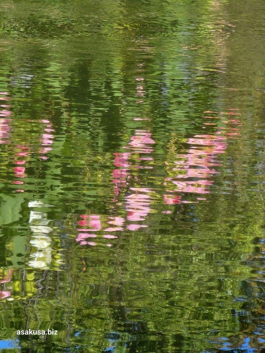 向島百花園